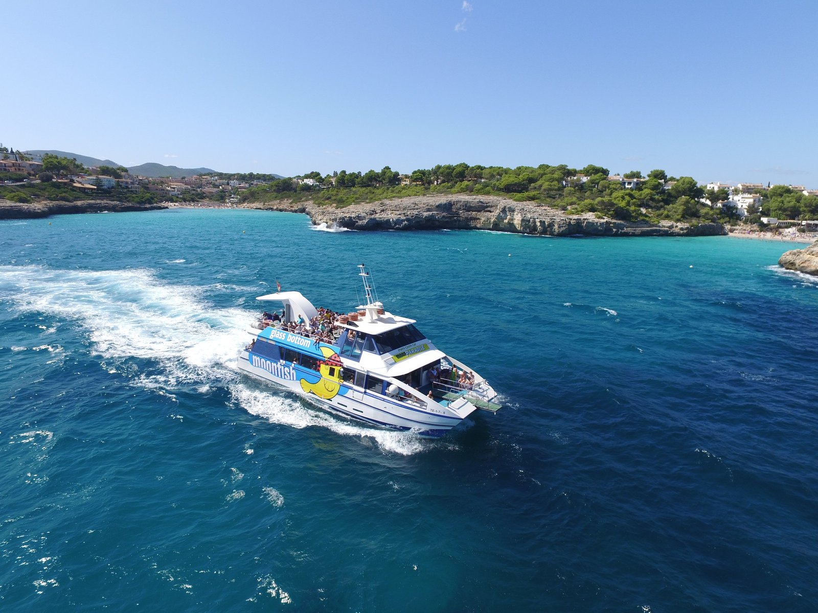 Dolphins and Marine Species & Best Time to See Them