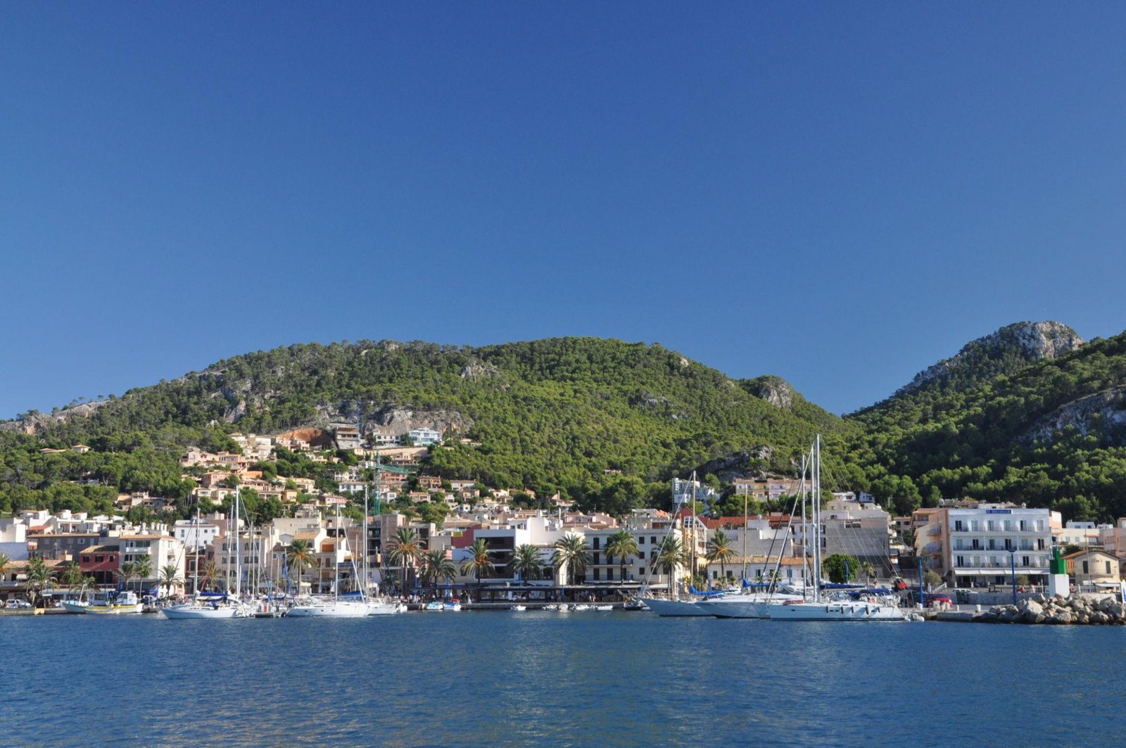Glass Bottom Boat Port d'Andratx